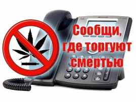 Акция "Сообщи, где торгуют смертью!" Акция "Сообщи, где торгуют смертью!".